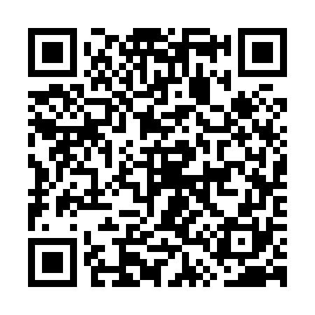 QR code for GT3870