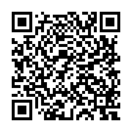 QR code for GT3989