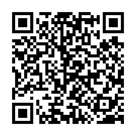 QR code for GT4638