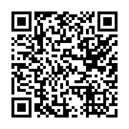 QR code for GT4838