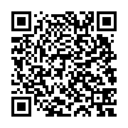 QR code for GT6638