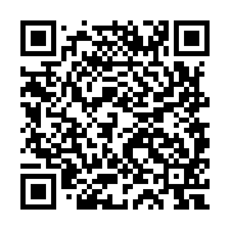 QR code for GT6993