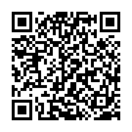 QR code for GT8833