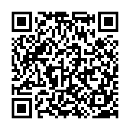 QR code for GV3874