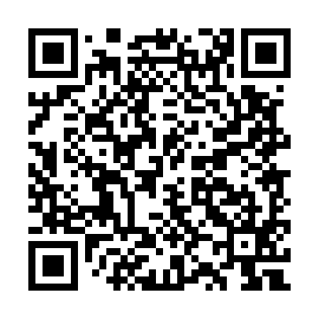 QR code for GZ0595