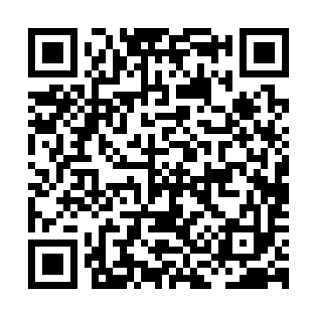 QR code for HC0393