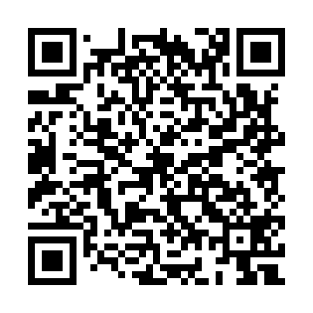 QR code for HG0919