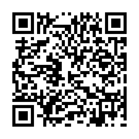 QR code for HG0953