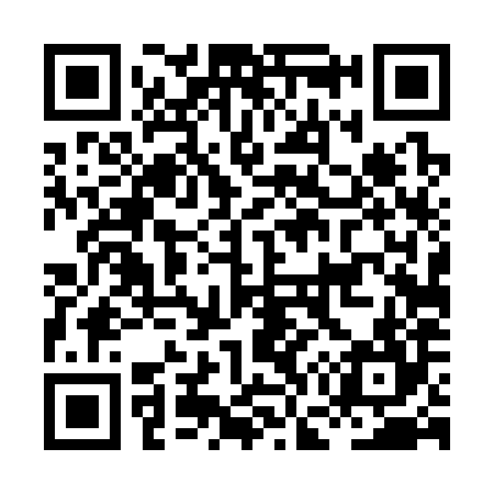 QR code for HG4384
