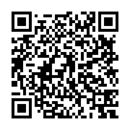 QR code for HH3838