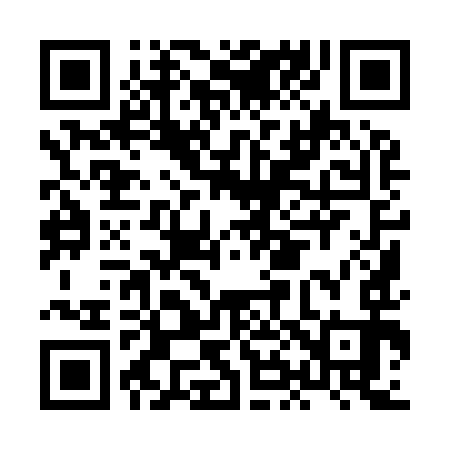 QR code for HH9993