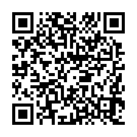QR code for HL0393