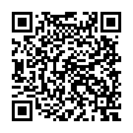 QR code for HL0597