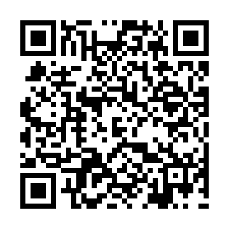 QR code for HL1272