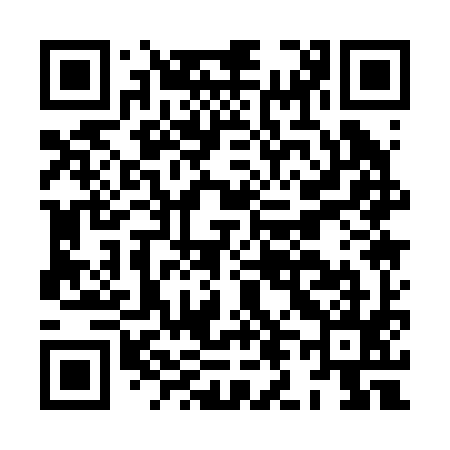 QR code for HL1295