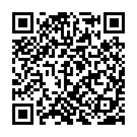 QR code for HL1299