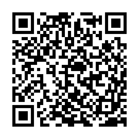 QR code for HL1353