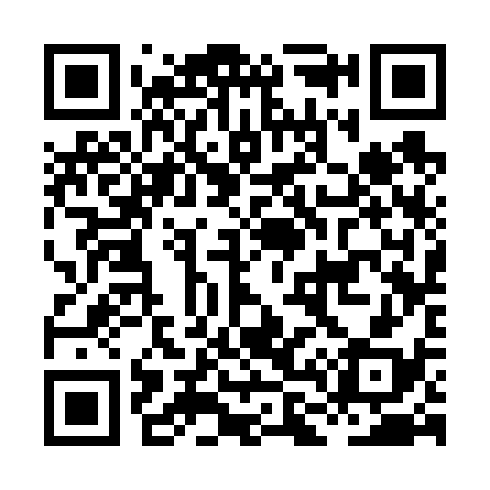 QR code for HL3638