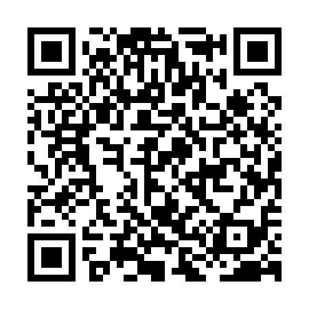 QR code for HL5119
