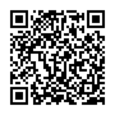 QR code for HL6393