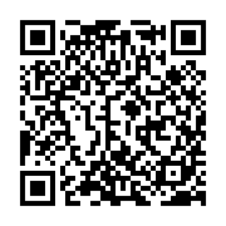 QR code for HL9081