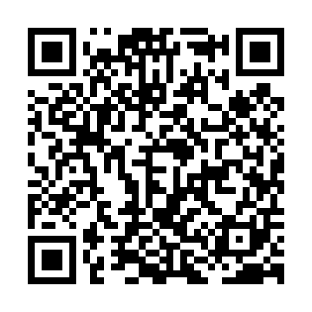 QR code for HL9401