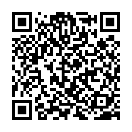 QR code for HL9529