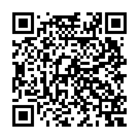 QR code for HL9613
