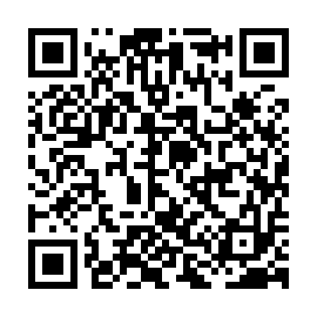 QR code for HL9913