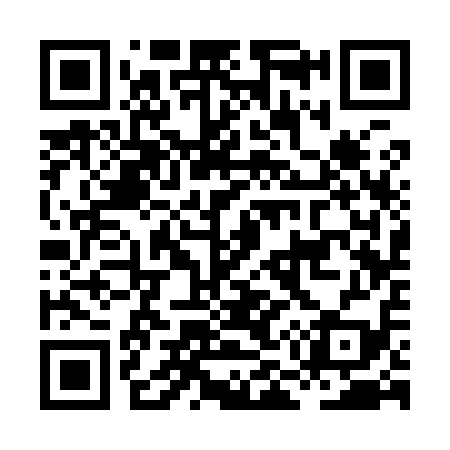 QR code for HM3919