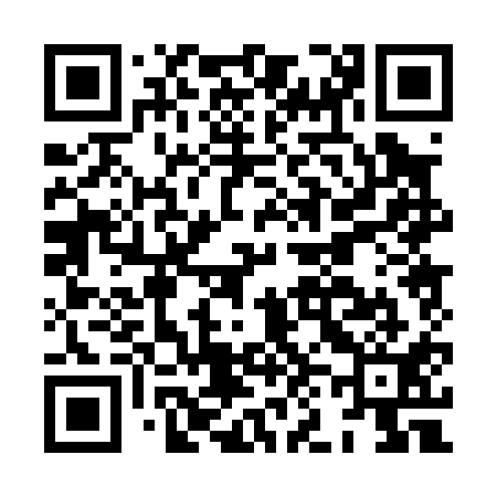QR code for HN0011