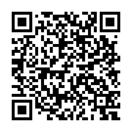 QR code for HN0133