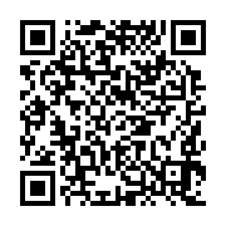 QR code for HN0393