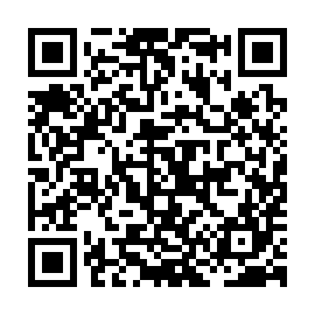 QR code for HN1384