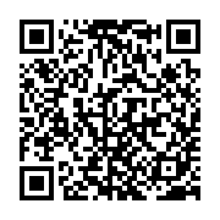 QR code for HN3381