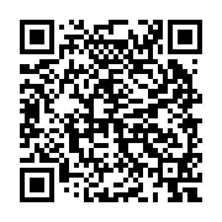 QR code for HO0290