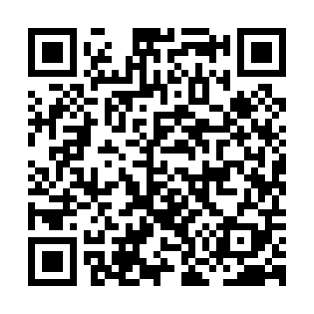 QR code for HO9009