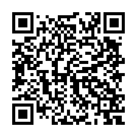 QR code for HO9463
