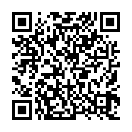 QR code for HP9509