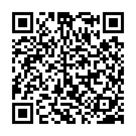 QR code for HQ9729