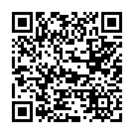 QR code for HS9666