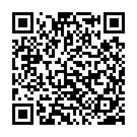 QR code for HS9768