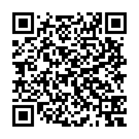 QR code for HW9538