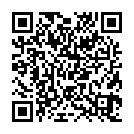 QR code for HY3161