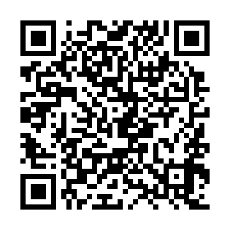 QR code for HY4399