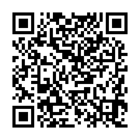 QR code for IA0991