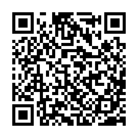 QR code for IC0380