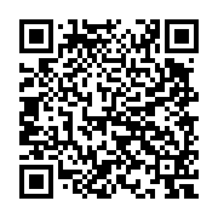 QR code for IC0492
