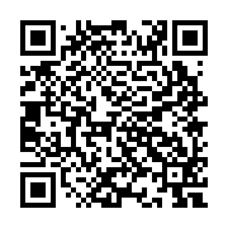 QR code for IC1393