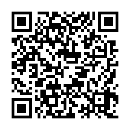 QR code for IC8738